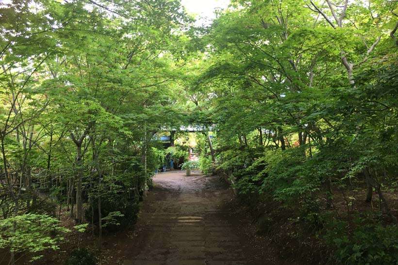植栽を見に行く。