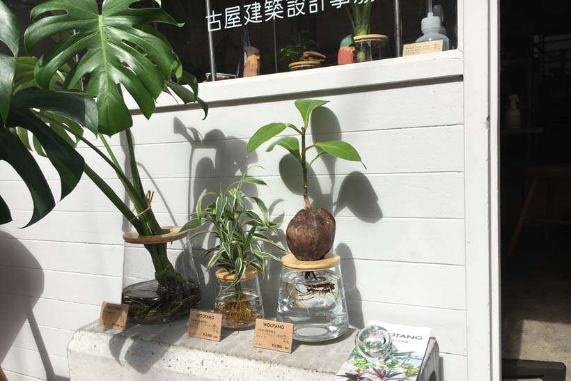 WOOTANG入荷。
